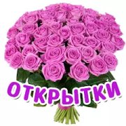 Открытки на все случаи жизни