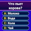 Миллионер