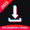 Скачать видео с ТТ