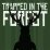 Trapped in the Forest