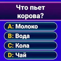 Миллионер