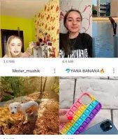 Скачать видео и музыку с ТикТок
