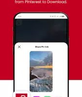 Video Downloader for Pinterest