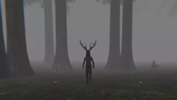 Trapped in the Forest
