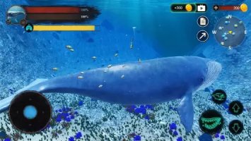 The Blue Whale (Синий кит)