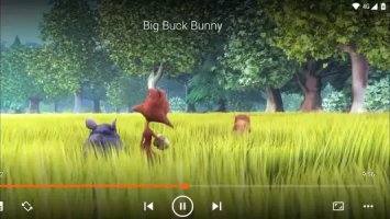 VLC media player
