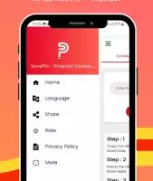 Скачать видео с Пинтерест