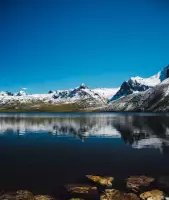 Файловый менеджер