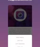 Insget — скачать с Инстаграма