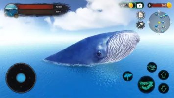 The Blue Whale (Синий кит)