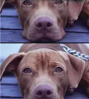 Найди отличия