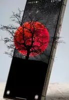 Живые обои 4D, видео обои 3D