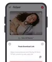 Загрузчик видео для Pinterest