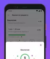 Моя школа Дневник