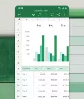 Microsoft Excel: Spreadsheets