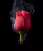 Darkify: черный фон