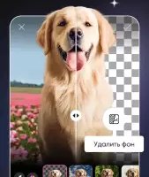 PicsArt Pro