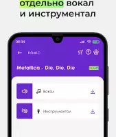 Voix — убрать голос из песни