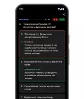 Google Gemini