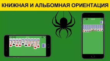 Пасьянс Паук без интернета