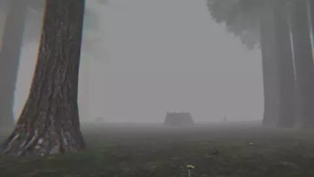 Trapped in the Forest