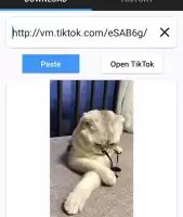Скачать из ТикТок видео