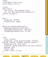 Visual Code Editor
