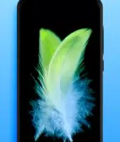 Живые обои — видеообои