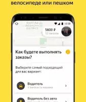 Яндекс Про: водители и курьеры
