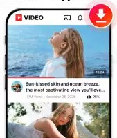 Загрузчик видео и музыки