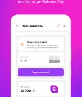 Balance Pay