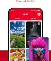 Video Downloader for Pinterest
