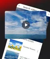 Tube Video Downloader