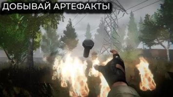T.D.Z. прибытие — Сталкер