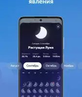 Яндекс погода