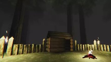 Trapped in the Forest