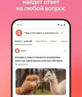 Яндекс.Браузер с Алисой