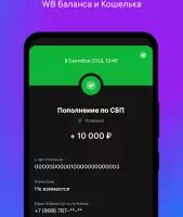 Balance Pay